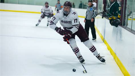 augsburg hockey